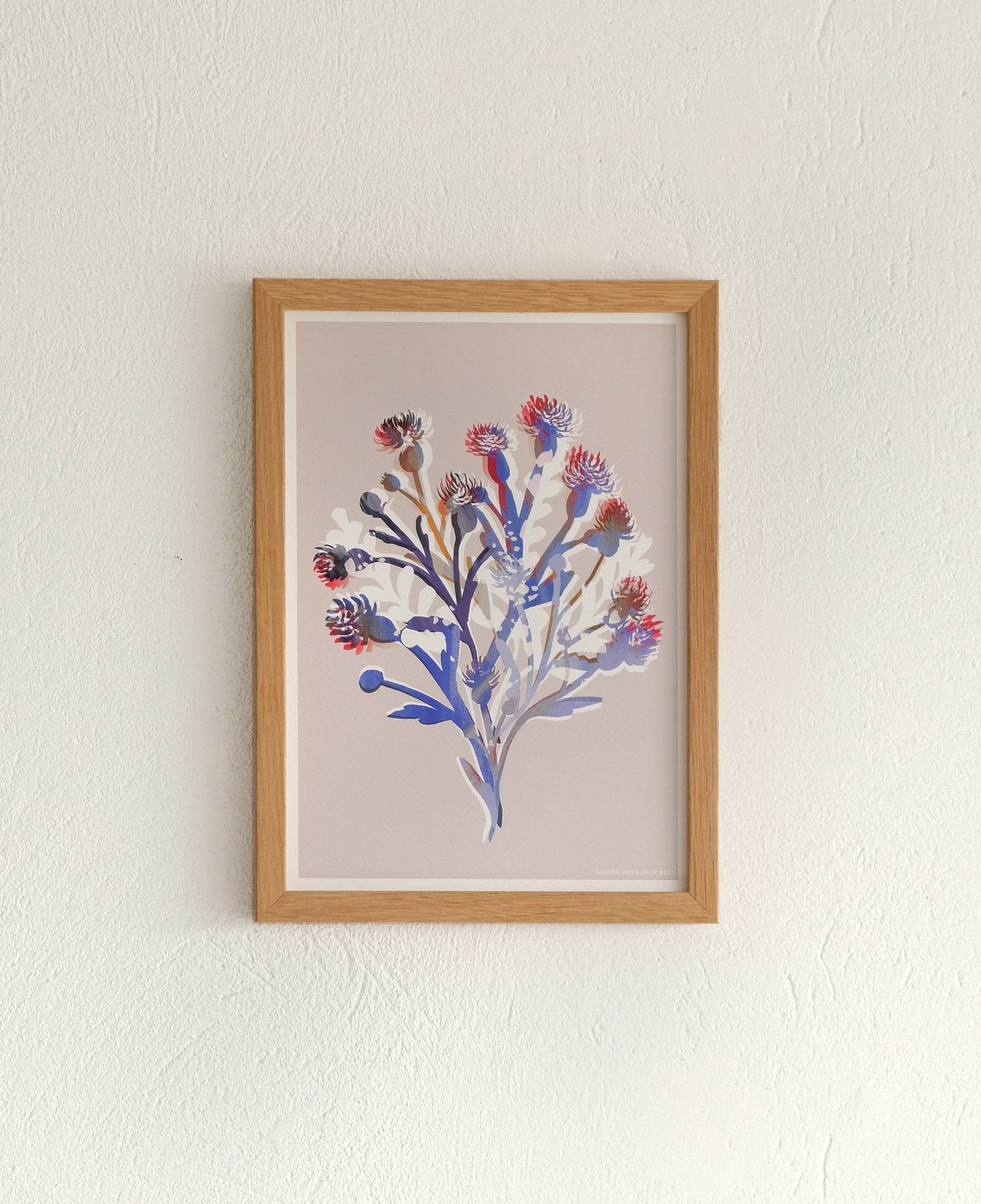 Thistle - A4 Print